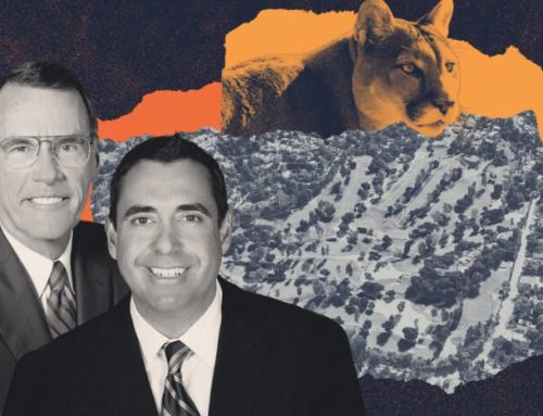 Mountain lions put 400-unit resi development in Valley on hold