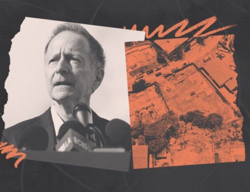 Ex-LA deputy mayor sues insurer Chubb over Palisades fire cleanup 